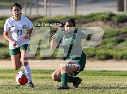Thumbnail 2 in Monrovia @ Temple City photogallery.