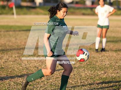 Thumbnail 1 in Monrovia @ Temple City photogallery.