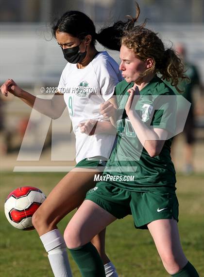 Thumbnail 3 in Monrovia @ Temple City photogallery.