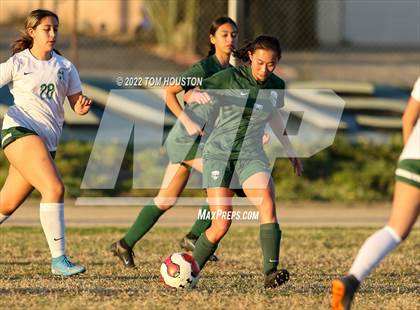 Thumbnail 3 in Monrovia @ Temple City photogallery.