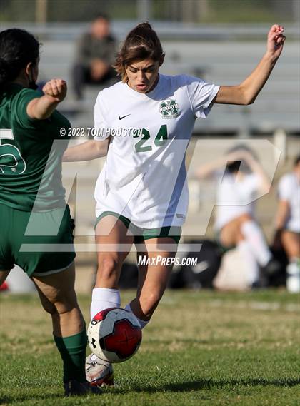 Thumbnail 2 in Monrovia @ Temple City photogallery.