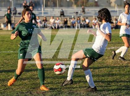 Thumbnail 3 in Monrovia @ Temple City photogallery.