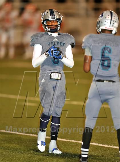 Thumbnail 3 in Celina @ Ranchview photogallery.