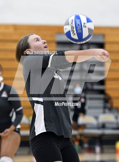 Thumbnail 2 in Antelope @ Inderkum photogallery.