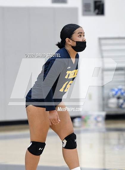 Thumbnail 2 in Antelope @ Inderkum photogallery.