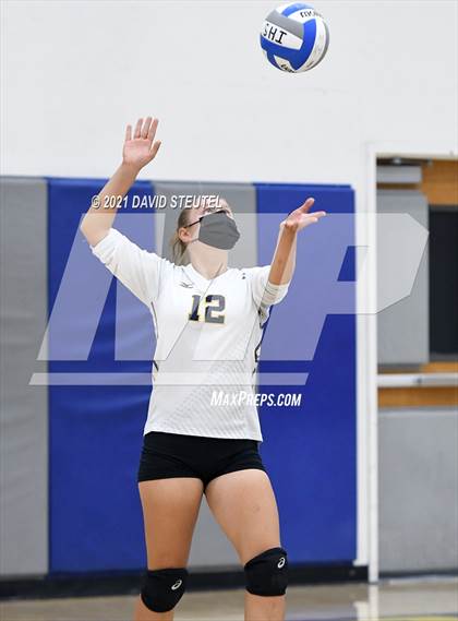 Thumbnail 3 in Antelope @ Inderkum photogallery.