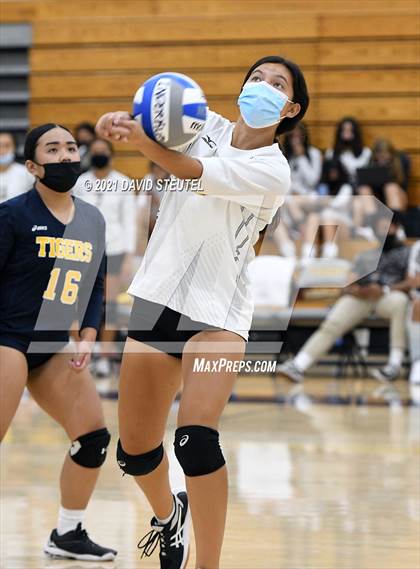 Thumbnail 3 in Antelope @ Inderkum photogallery.