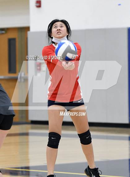 Thumbnail 2 in Antelope @ Inderkum photogallery.