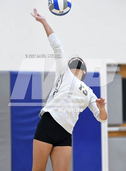 Thumbnail 3 in Antelope @ Inderkum photogallery.