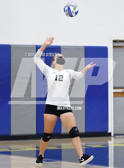 Thumbnail 3 in Antelope @ Inderkum photogallery.