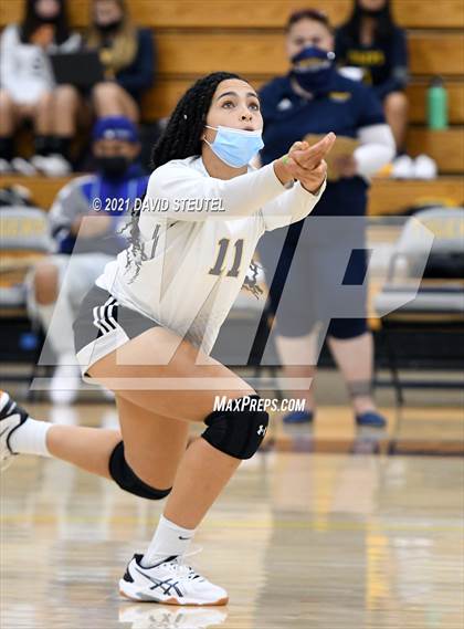 Thumbnail 1 in Antelope @ Inderkum photogallery.
