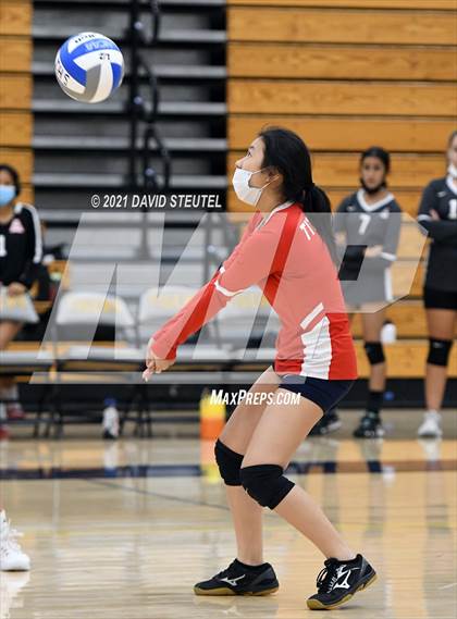 Thumbnail 2 in Antelope @ Inderkum photogallery.
