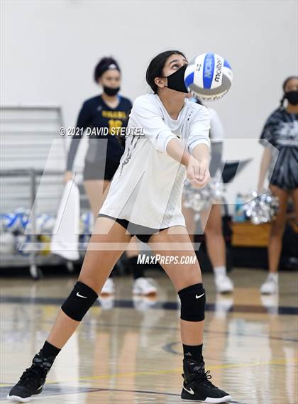 Thumbnail 2 in Antelope @ Inderkum photogallery.