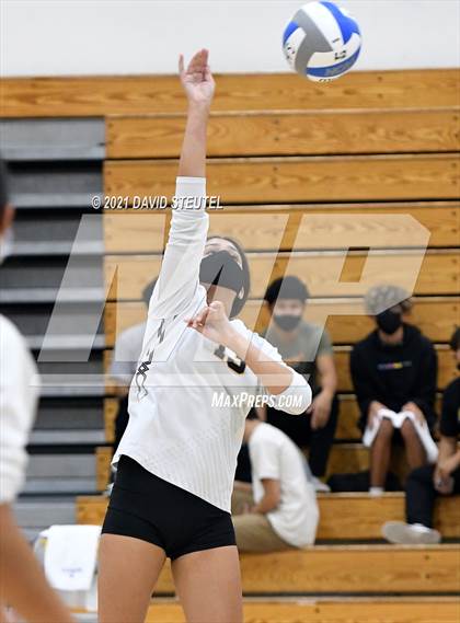 Thumbnail 1 in Antelope @ Inderkum photogallery.