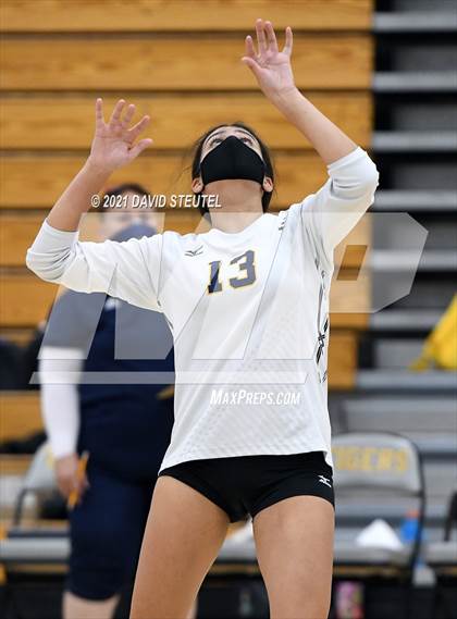 Thumbnail 1 in Antelope @ Inderkum photogallery.