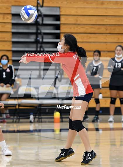 Thumbnail 3 in Antelope @ Inderkum photogallery.