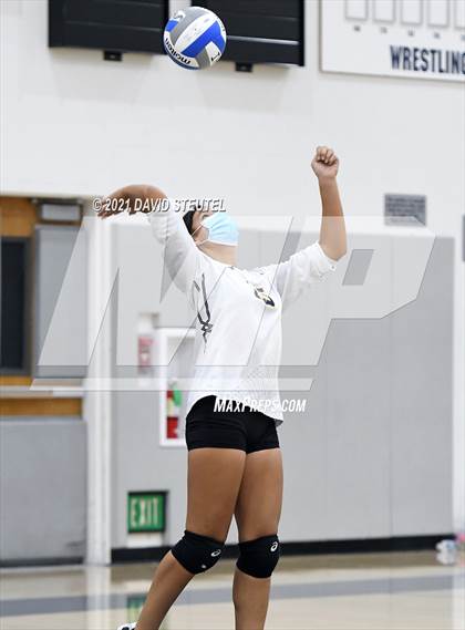 Thumbnail 1 in Antelope @ Inderkum photogallery.