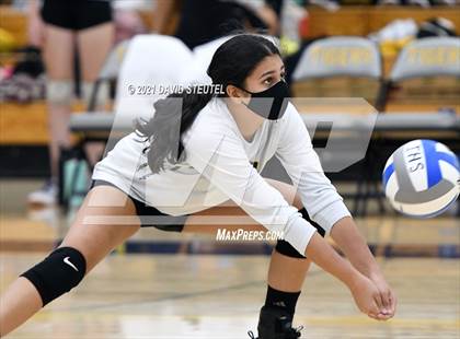 Thumbnail 1 in Antelope @ Inderkum photogallery.