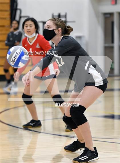 Thumbnail 3 in Antelope @ Inderkum photogallery.