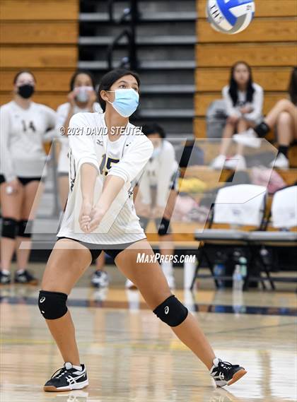 Thumbnail 1 in Antelope @ Inderkum photogallery.