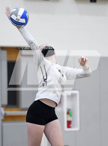 Thumbnail 3 in Antelope @ Inderkum photogallery.
