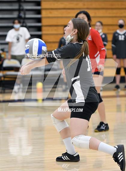 Thumbnail 2 in Antelope @ Inderkum photogallery.