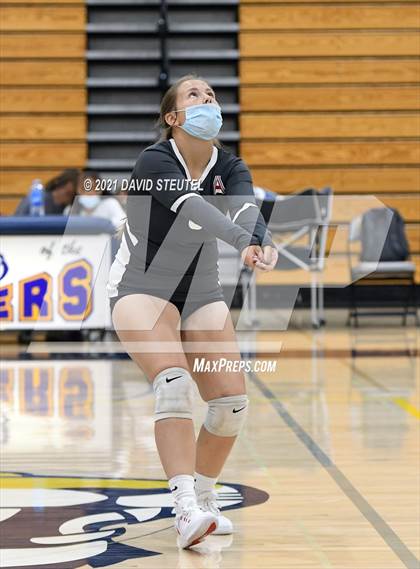 Thumbnail 3 in Antelope @ Inderkum photogallery.