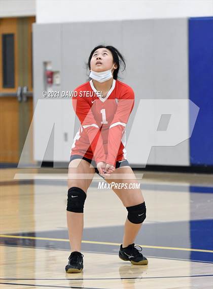 Thumbnail 1 in Antelope @ Inderkum photogallery.