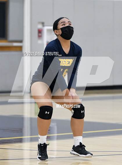 Thumbnail 3 in Antelope @ Inderkum photogallery.