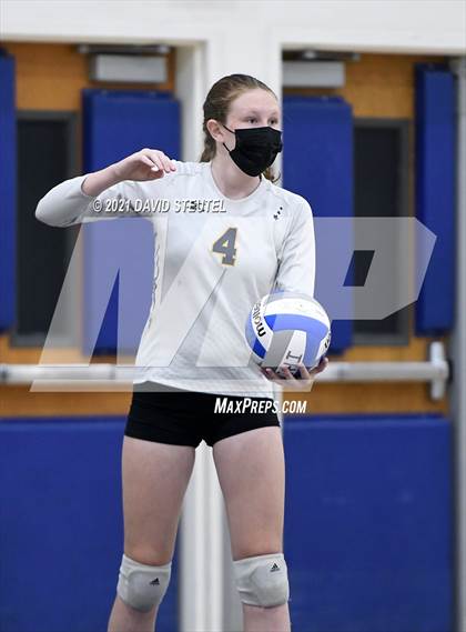 Thumbnail 2 in Antelope @ Inderkum photogallery.