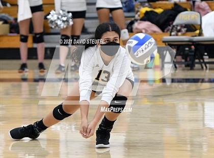 Thumbnail 2 in Antelope @ Inderkum photogallery.