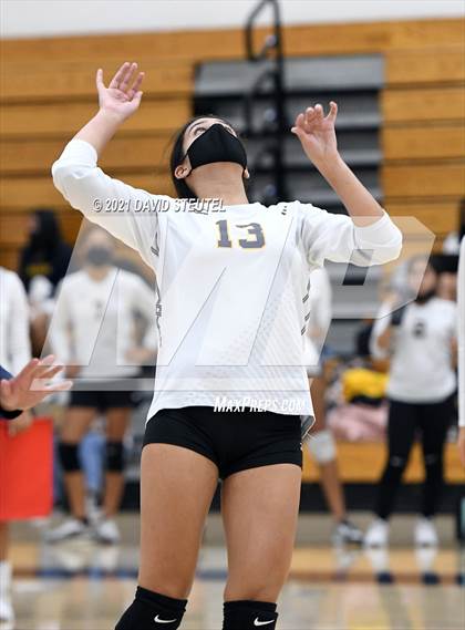 Thumbnail 2 in Antelope @ Inderkum photogallery.