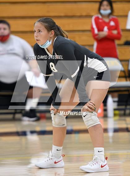 Thumbnail 1 in Antelope @ Inderkum photogallery.