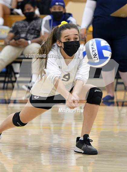 Thumbnail 1 in Antelope @ Inderkum photogallery.