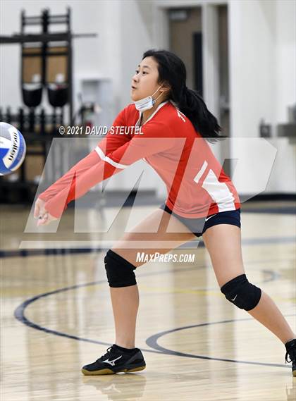 Thumbnail 2 in Antelope @ Inderkum photogallery.