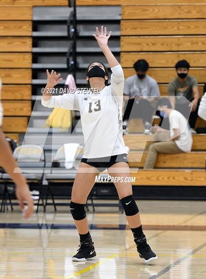 Thumbnail 3 in Antelope @ Inderkum photogallery.