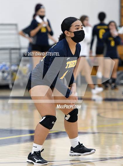 Thumbnail 3 in Antelope @ Inderkum photogallery.