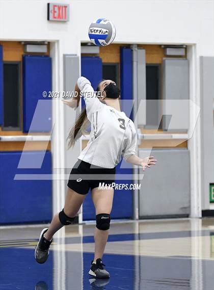 Thumbnail 2 in Antelope @ Inderkum photogallery.