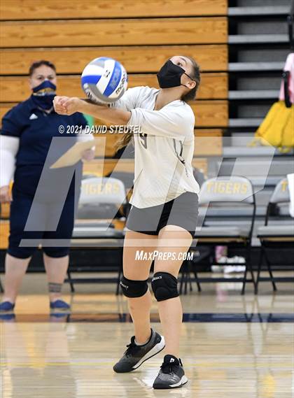 Thumbnail 2 in Antelope @ Inderkum photogallery.