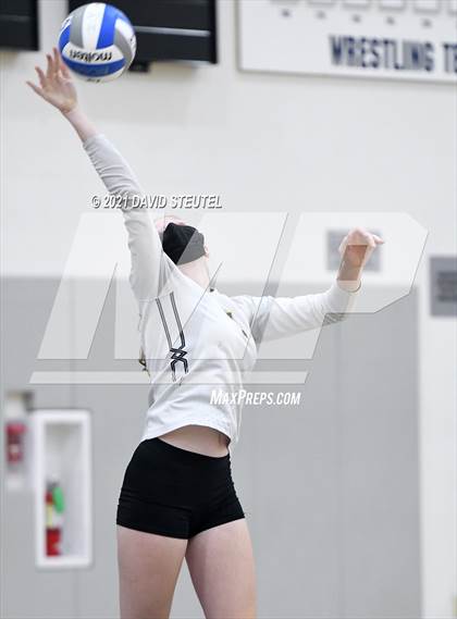 Thumbnail 3 in Antelope @ Inderkum photogallery.