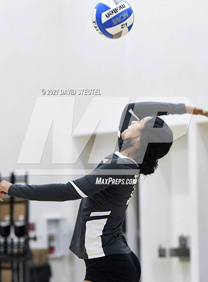 Thumbnail 2 in Antelope @ Inderkum photogallery.