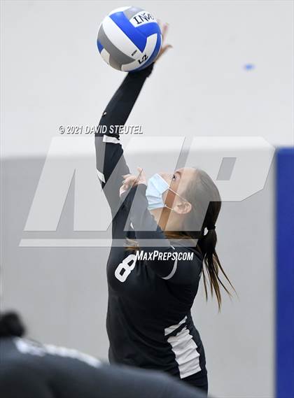 Thumbnail 2 in Antelope @ Inderkum photogallery.