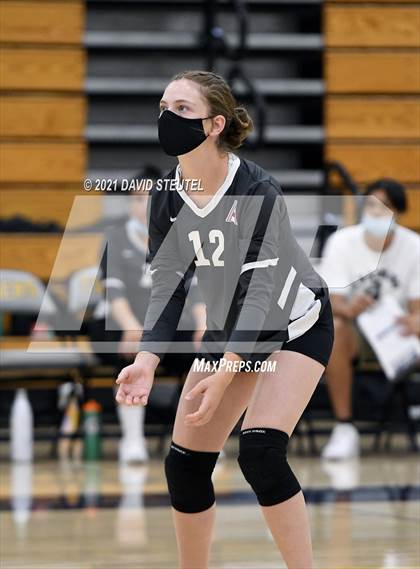 Thumbnail 2 in Antelope @ Inderkum photogallery.