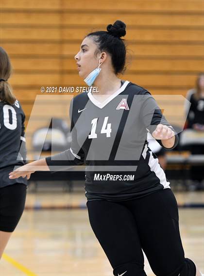 Thumbnail 1 in Antelope @ Inderkum photogallery.