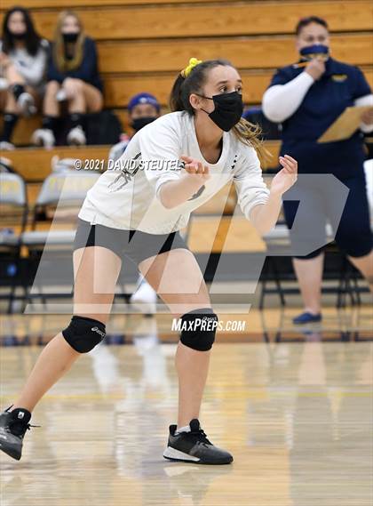 Thumbnail 2 in Antelope @ Inderkum photogallery.