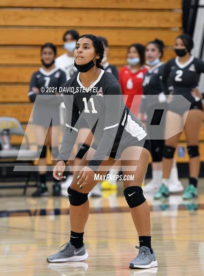 Thumbnail 3 in Antelope @ Inderkum photogallery.