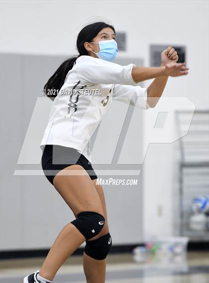 Thumbnail 3 in Antelope @ Inderkum photogallery.