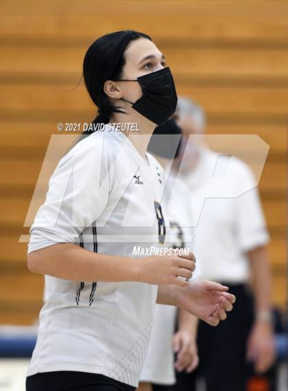 Thumbnail 3 in Antelope @ Inderkum photogallery.