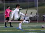 Photo from the gallery "Skyline vs Newport (WIAA 4A District 1/2 Playoff)"