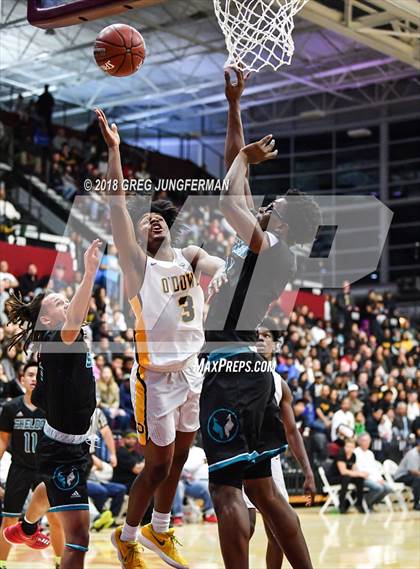 Thumbnail 1 in Sheldon vs. Bishop O'Dowd (CIF NorCal Regional Open Division Final) photogallery.